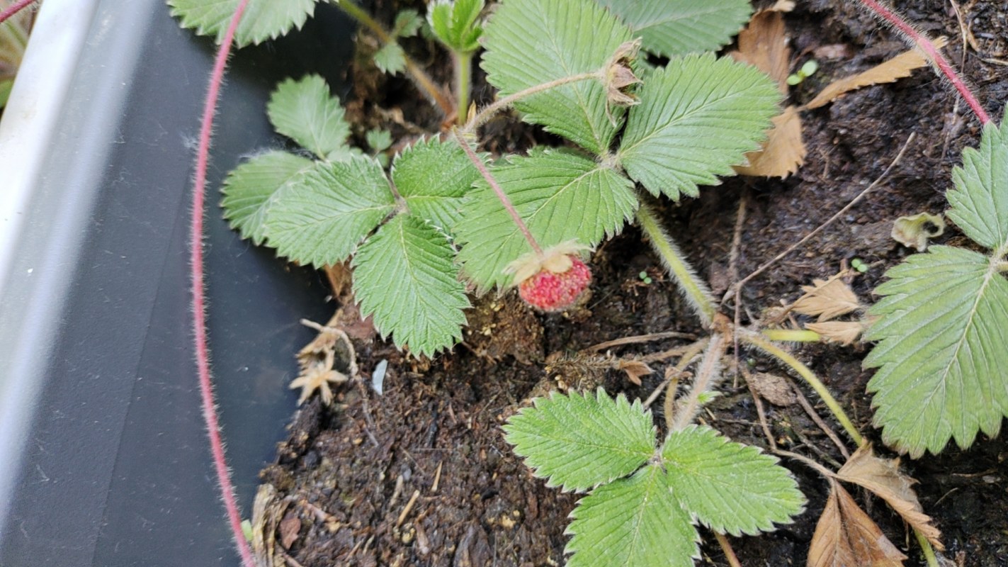 wx_camera_1682818355382.jpg