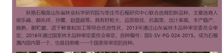 ΢ͼƬ_20240428104115.png