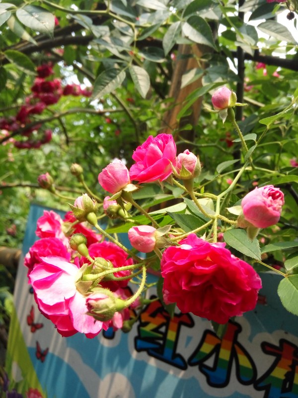 IMG_20240428_133349.jpg