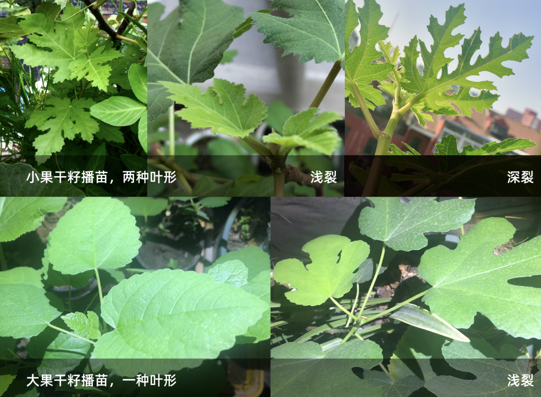 WX20240504-225826@2x.png