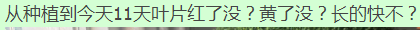 111.png