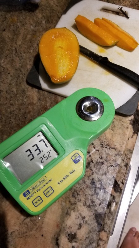 20190918-182545.jpg