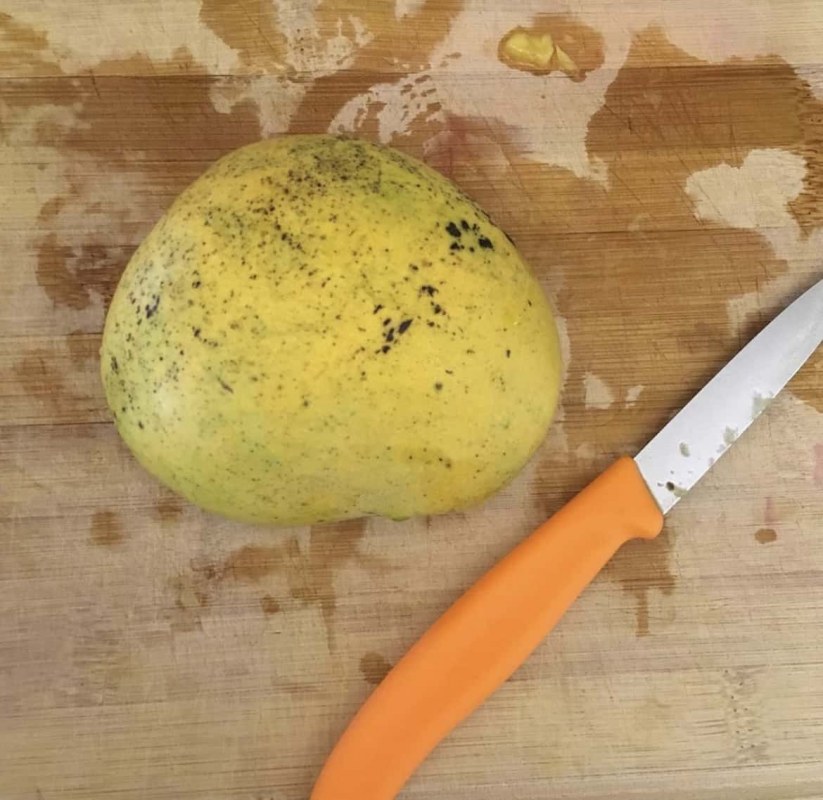 Mango_Guava_Fruit_IG_HipsterJohnyAppleSeed_3.jpg