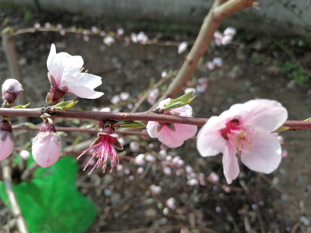 IMG_20240319_084449.jpg