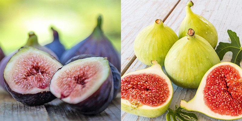 fig-composite.jpg