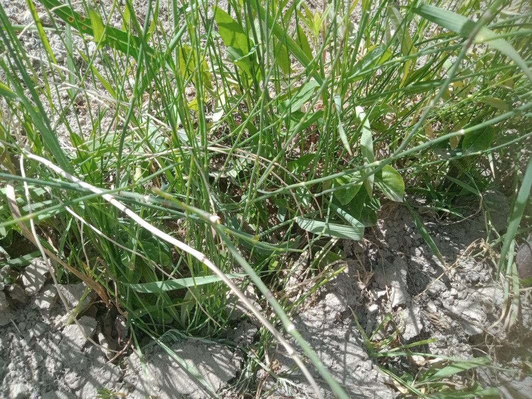 IMG20240609160246.jpg