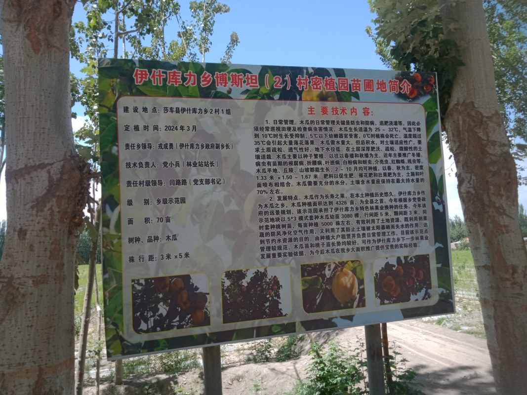 IMG20240609152108.jpg