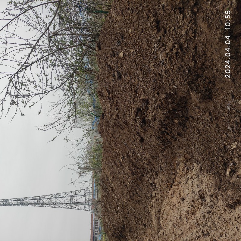 IMG_20240404_105505.jpg