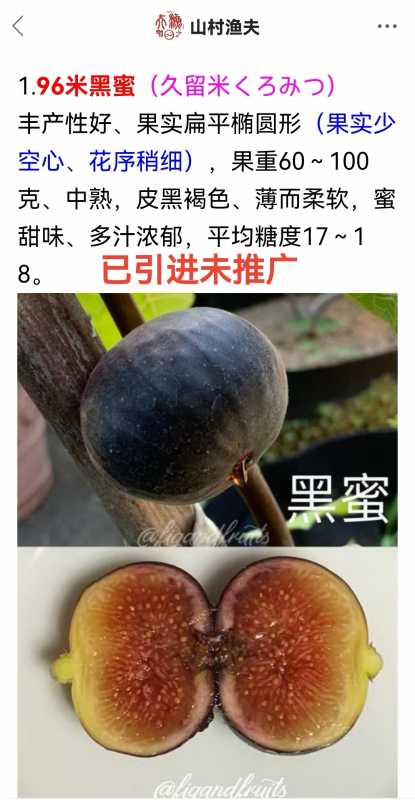 Screenshot_20240724_084125_com.appbyme.app117383_edit_325518023177412.jpg