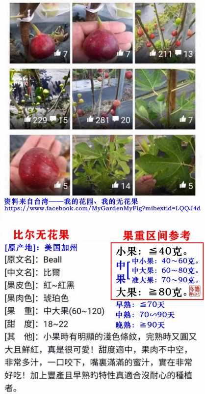 mmexport1721938201715.jpg