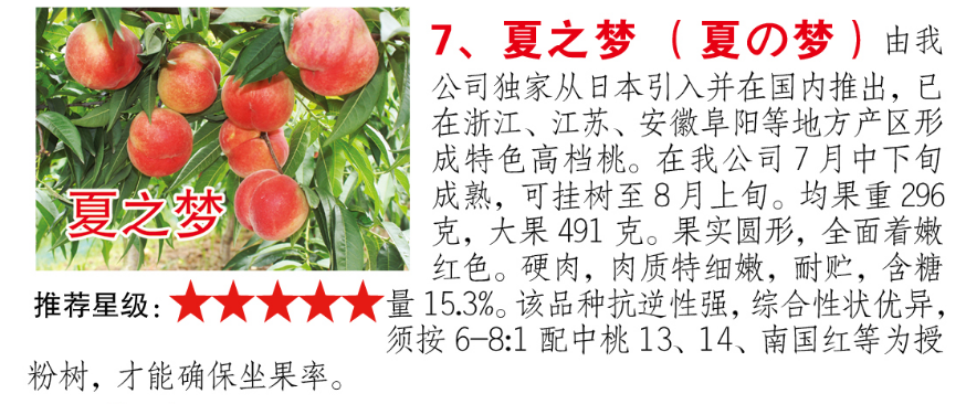 7cd6a9b8aafa053fcf7f23a67abbc60.png
