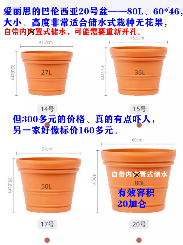 ˹-轺.png