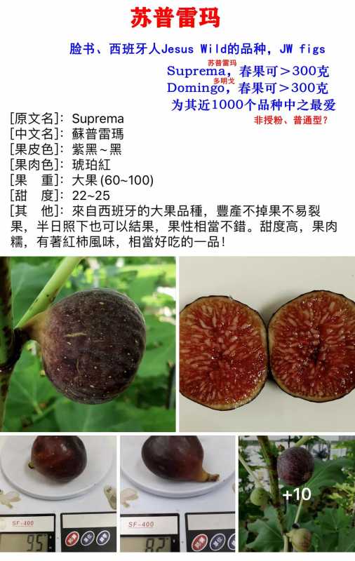 mmexport1722984548684.jpg