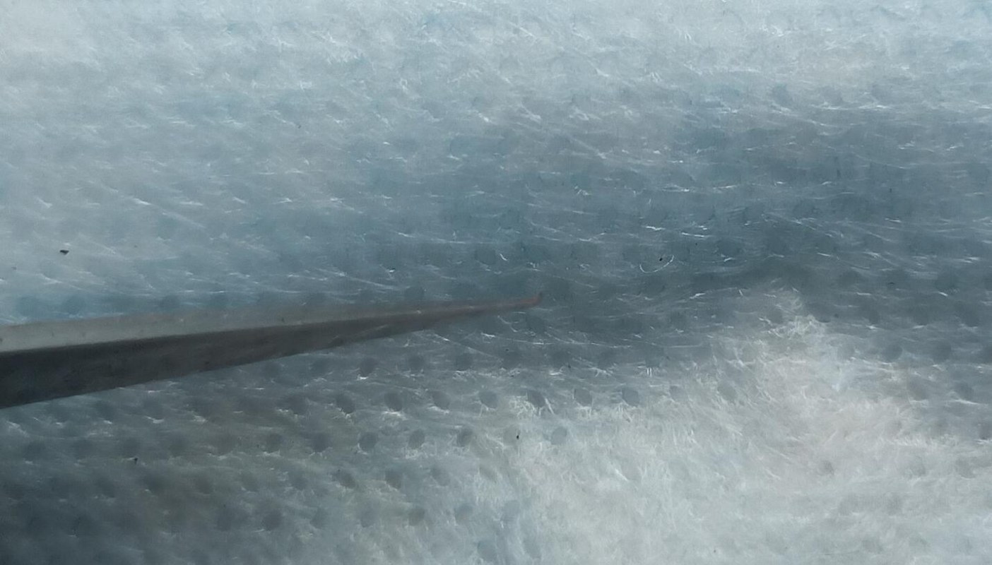 QQͼ20240812084511.jpg