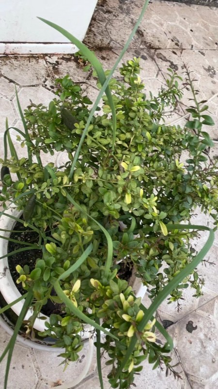 Weixin Image_20240816191349.jpg