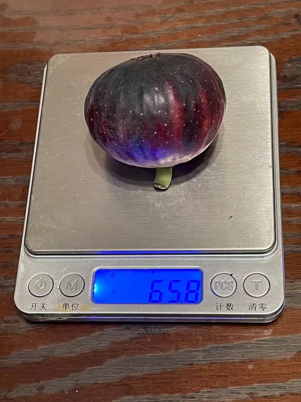 2024-8-20-1.jpg