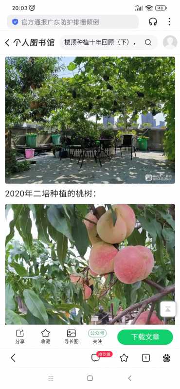 Screenshot_2024-08-21-20-03-11-775_com.baidu.searchbox.jpg