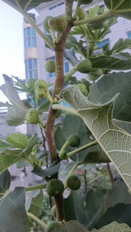 wx_camera_1724233374351.jpg