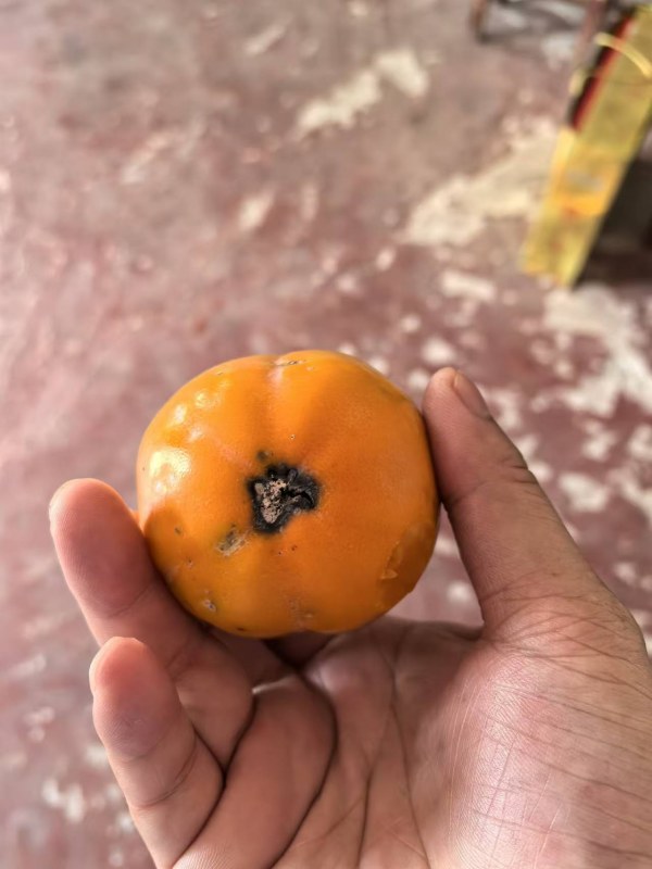ܻˣɬ