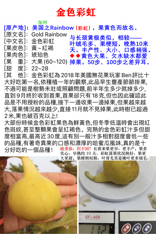 ɫʺ.png