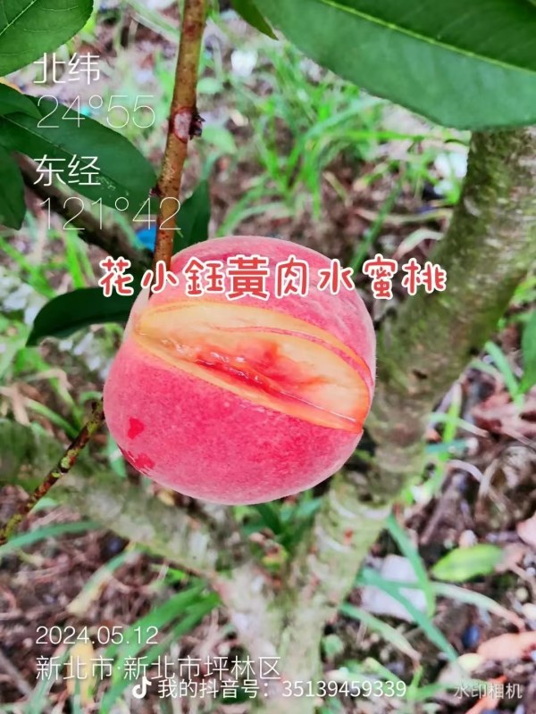 DƬ_20241019071905.jpg