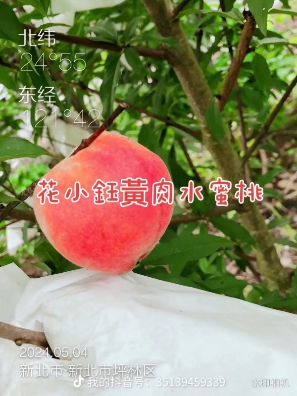 DƬ_20241019071840.jpg