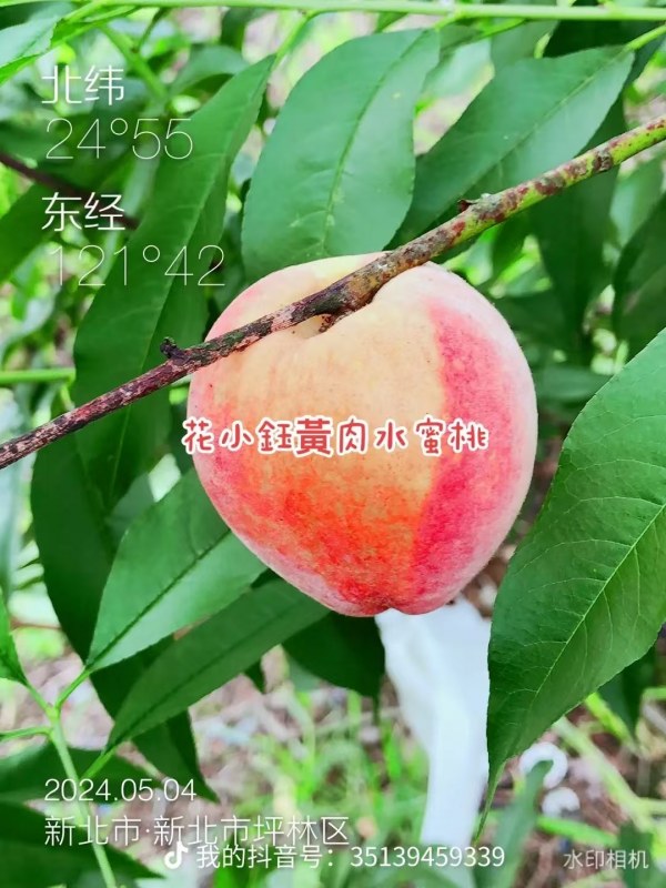 DƬ_20241019071914.jpg