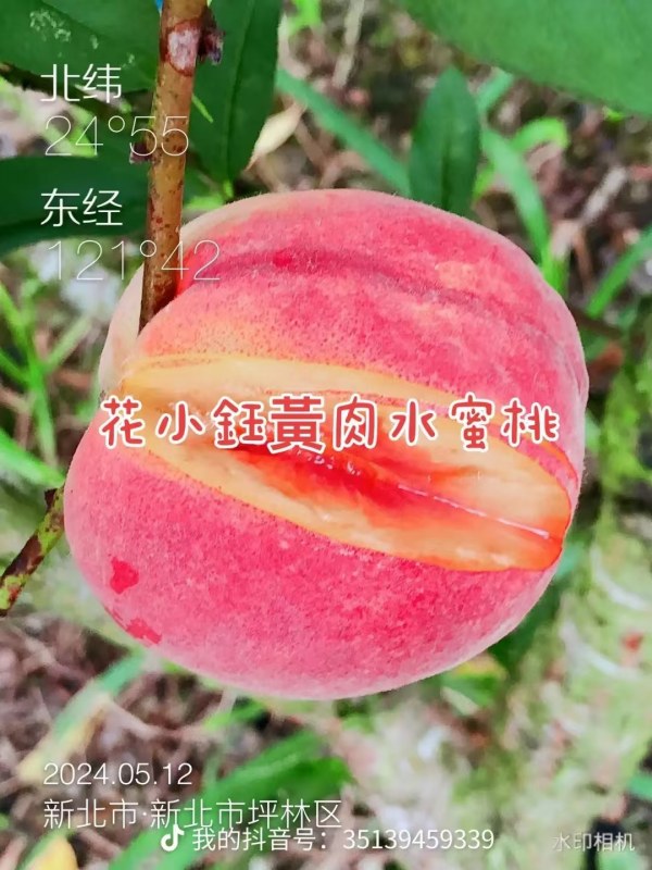 DƬ_20241019071922.jpg