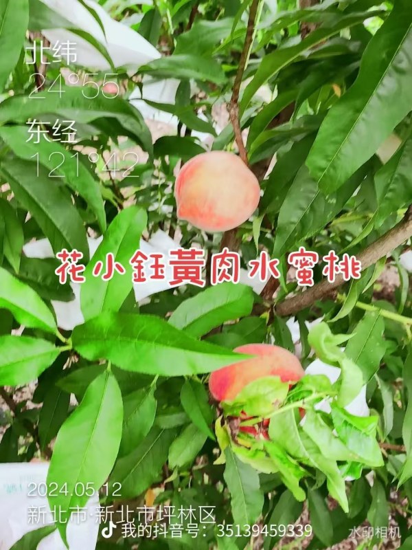 DƬ_20241019071937.jpg