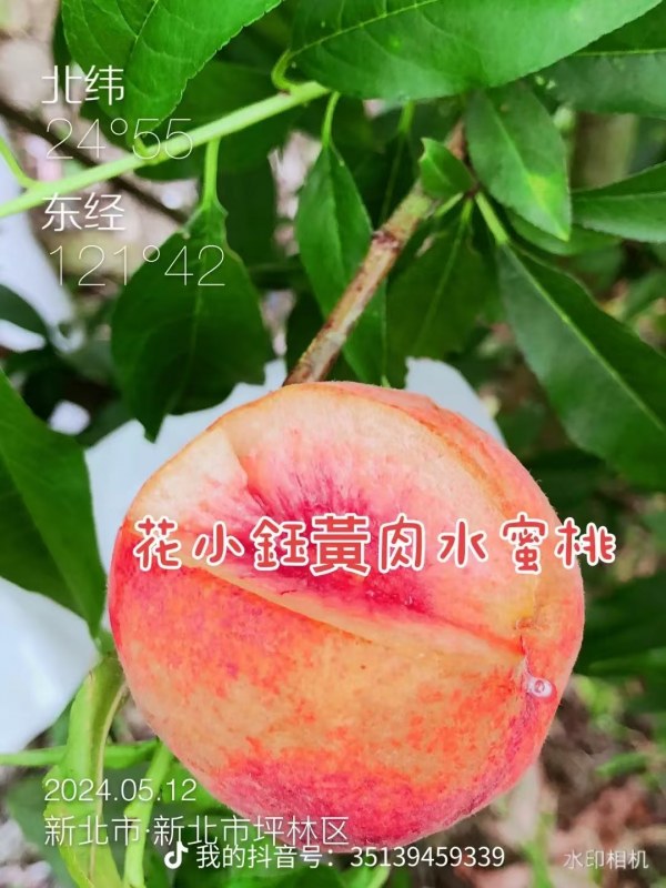 DƬ_20241019071949.jpg