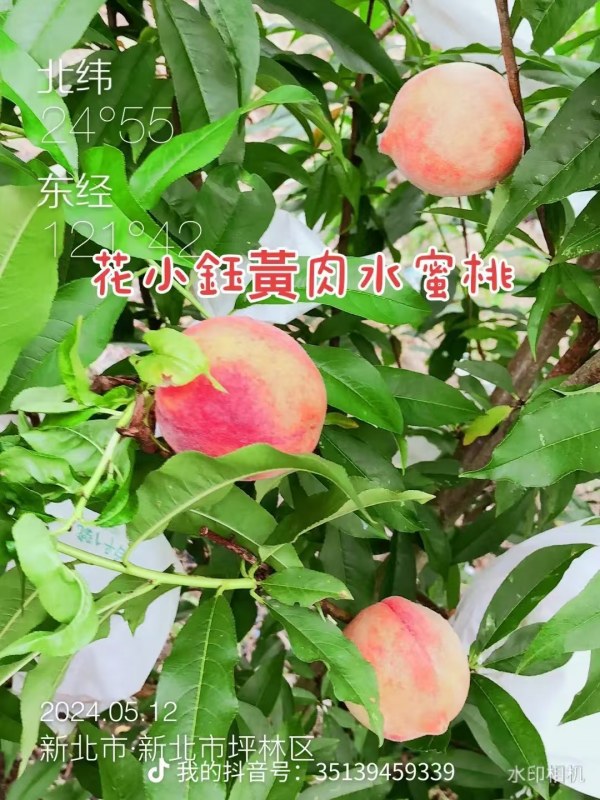 DƬ_20241019071942.jpg