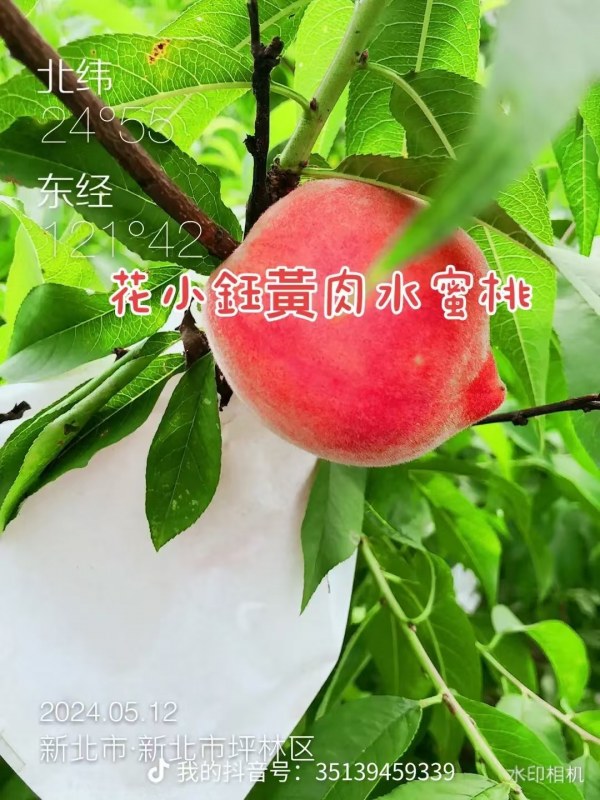 DƬ_20241019071952.jpg