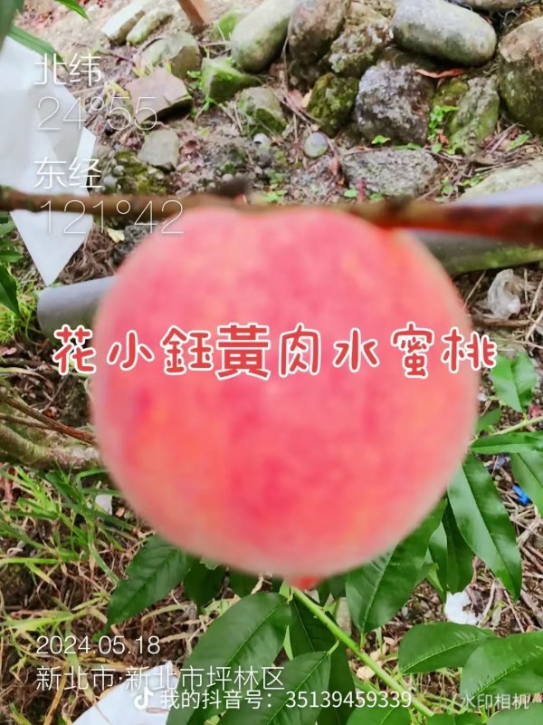 DƬ_20241019072004.jpg