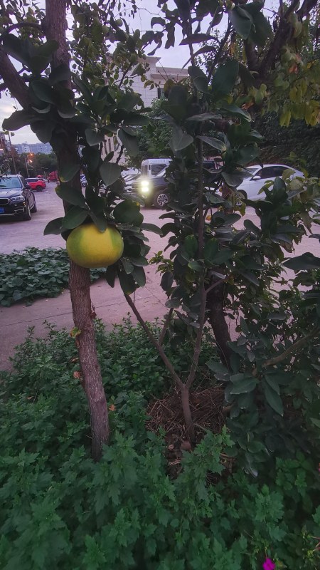 ΢ͼƬ_20241020072852.jpg