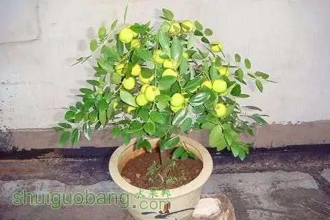 6ff60576424297b4cf74a25502dae4da_204911xfa414jsb8vesb8y.jpg