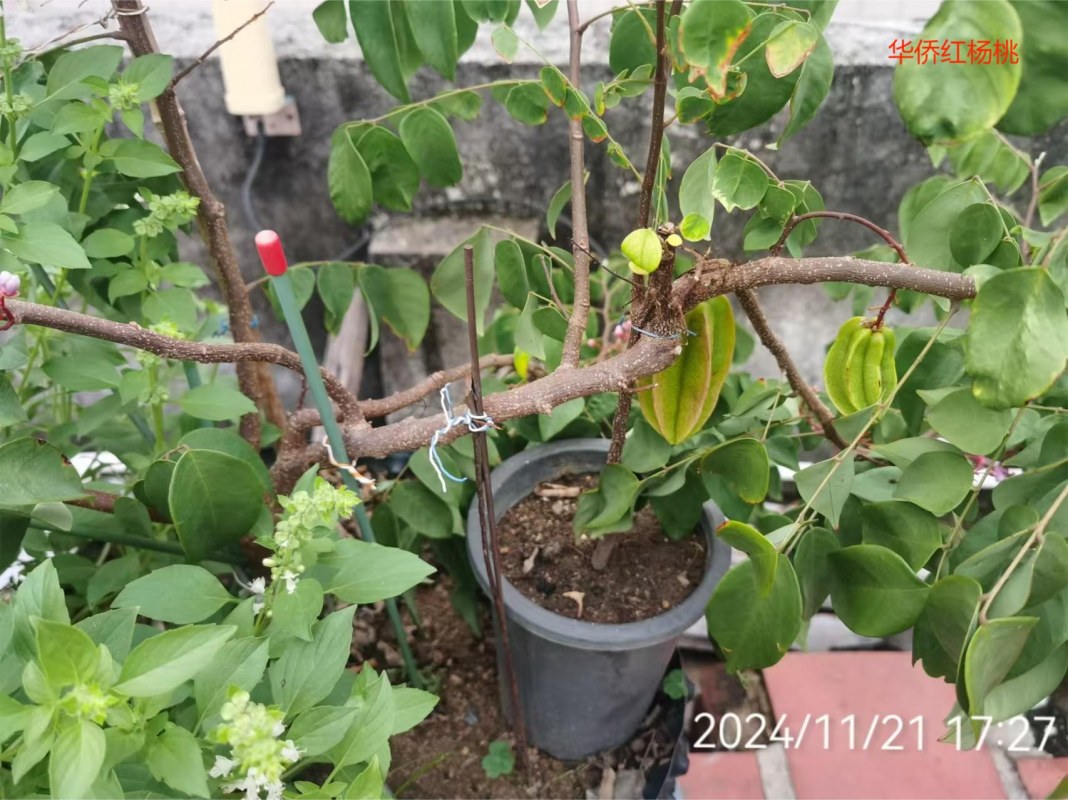 f88c189e8b2a89cb9adb6bb20161ac8.jpg