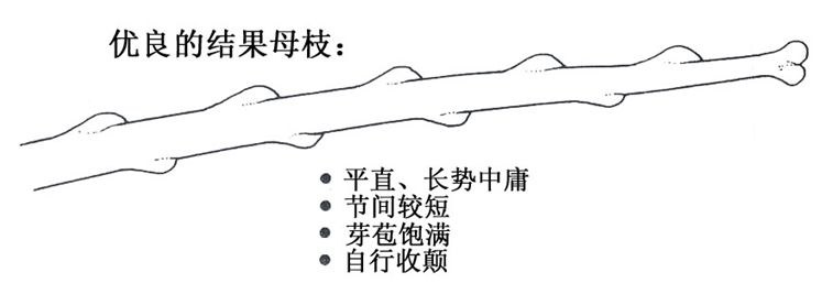 119.jpg