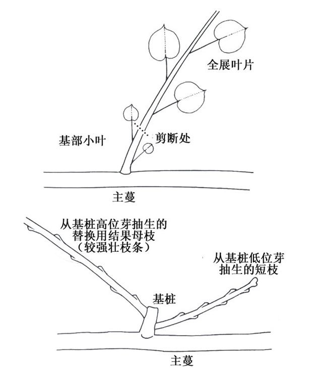 118.jpg