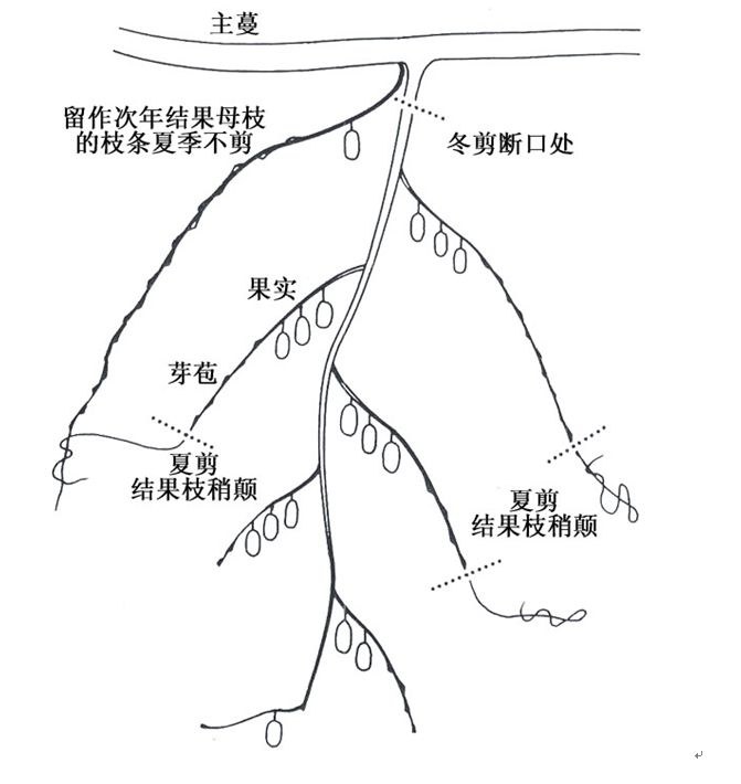 120.jpg