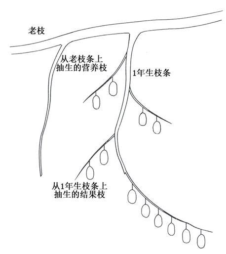 116.jpg