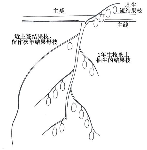 117.jpg