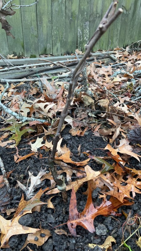 Image_20241214183016.jpg