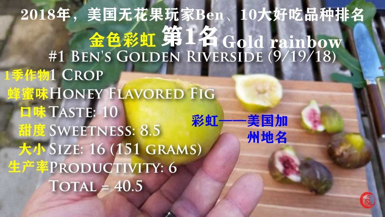 1734314712711.jpg