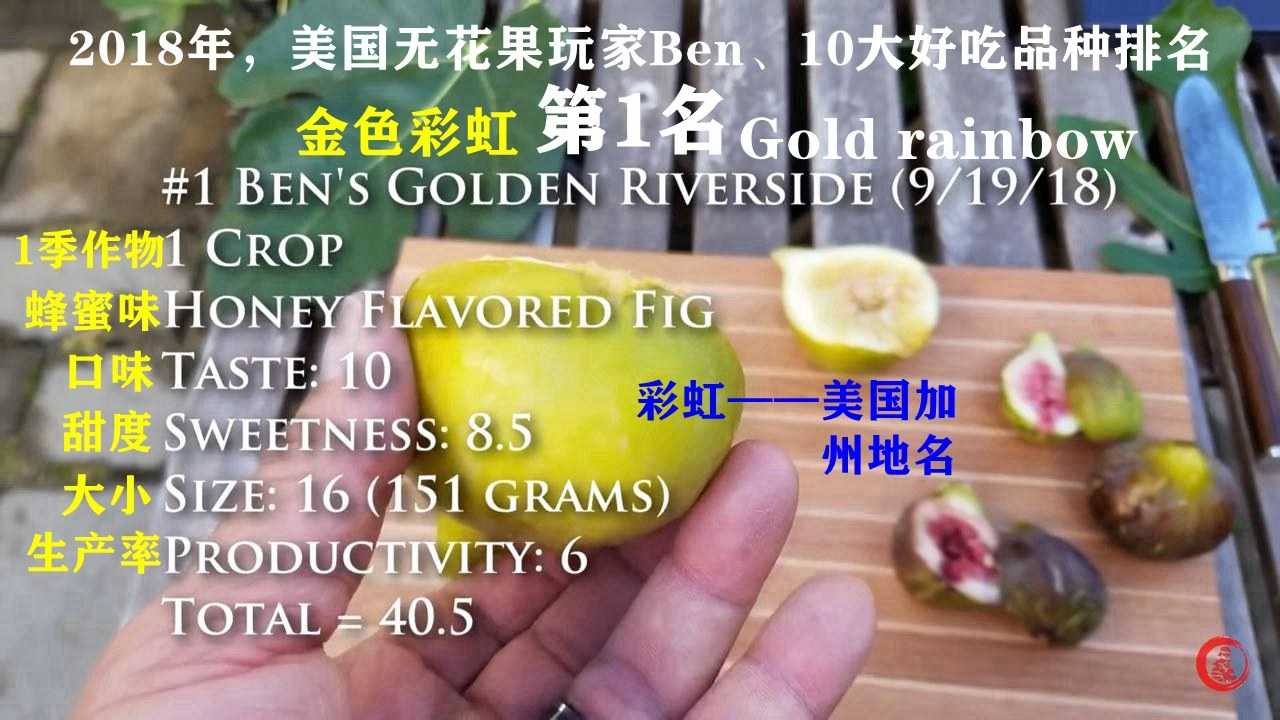 101602cfhh5hkf5bj2f52h.jpg