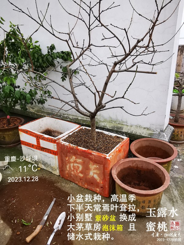 A08-IMG_20231226_121854.jpg