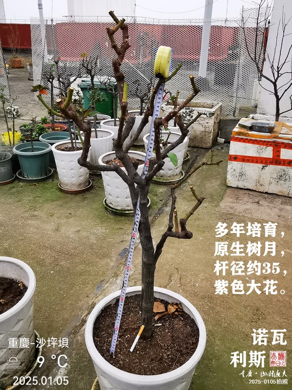 IMG_20250105_104507.jpg