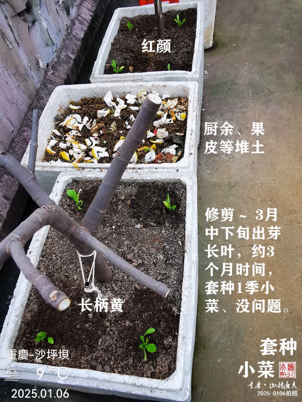 IMG_20250106_110936.jpg