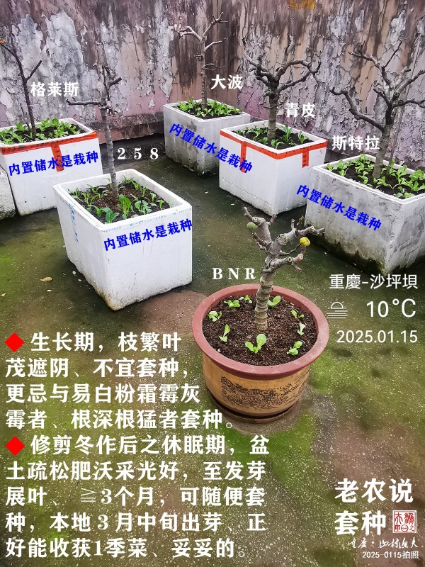 ũ˵.jpg