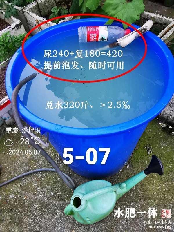 mmexport1737201734517.jpg