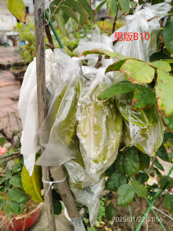 e1855ce1cf73ca3ab3586be700c8e10.png